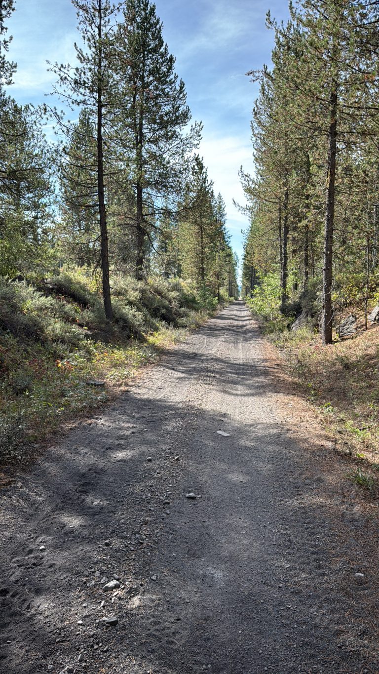 Trail Photo by Robin