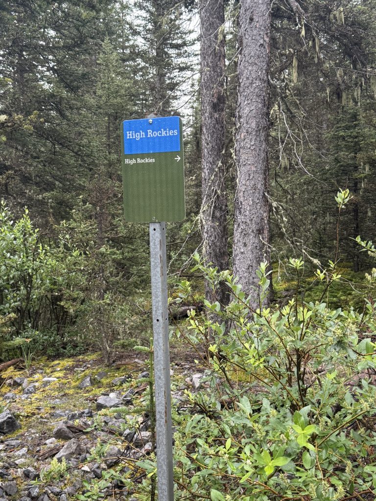 Trail Photo by robin