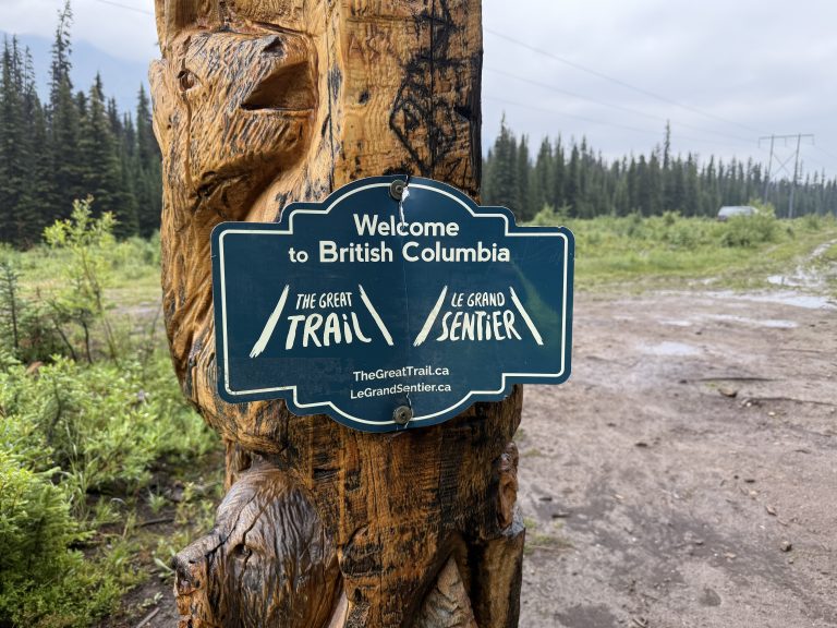 Trail Photo by robin