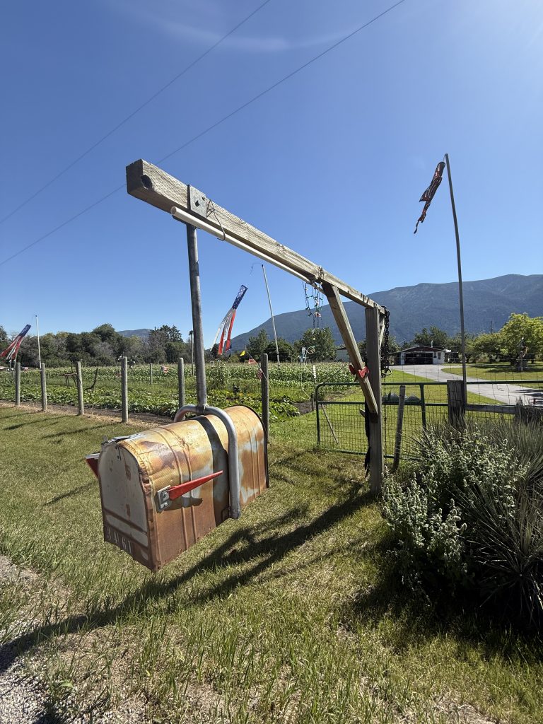 Trail Photo by robin