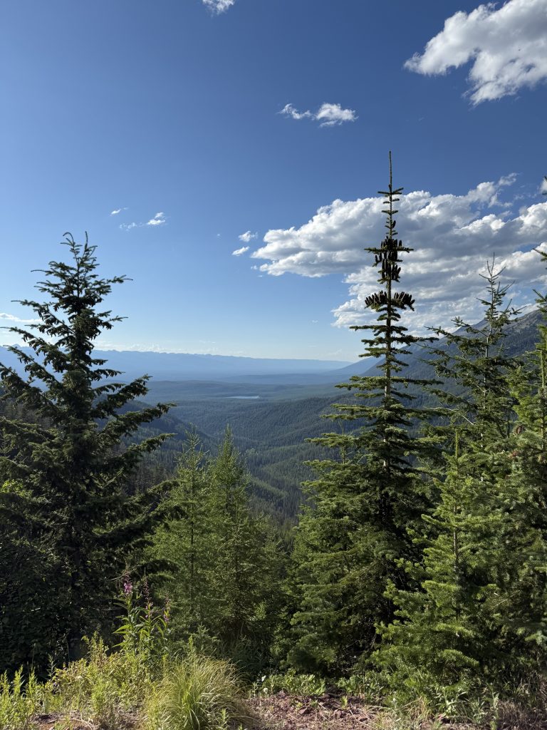 Trail Photo by robin