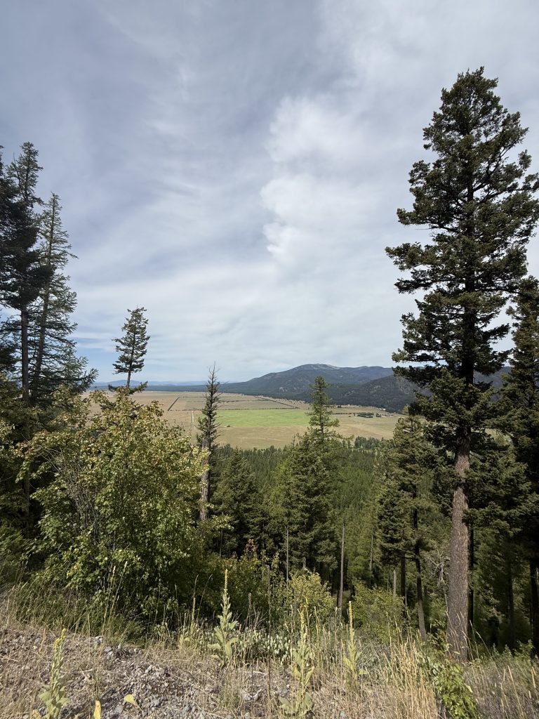 Trail Photo by robin