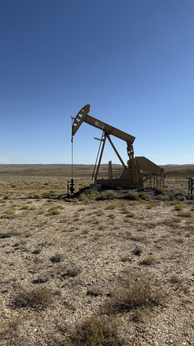 Trail Photo by Robin Hamilton