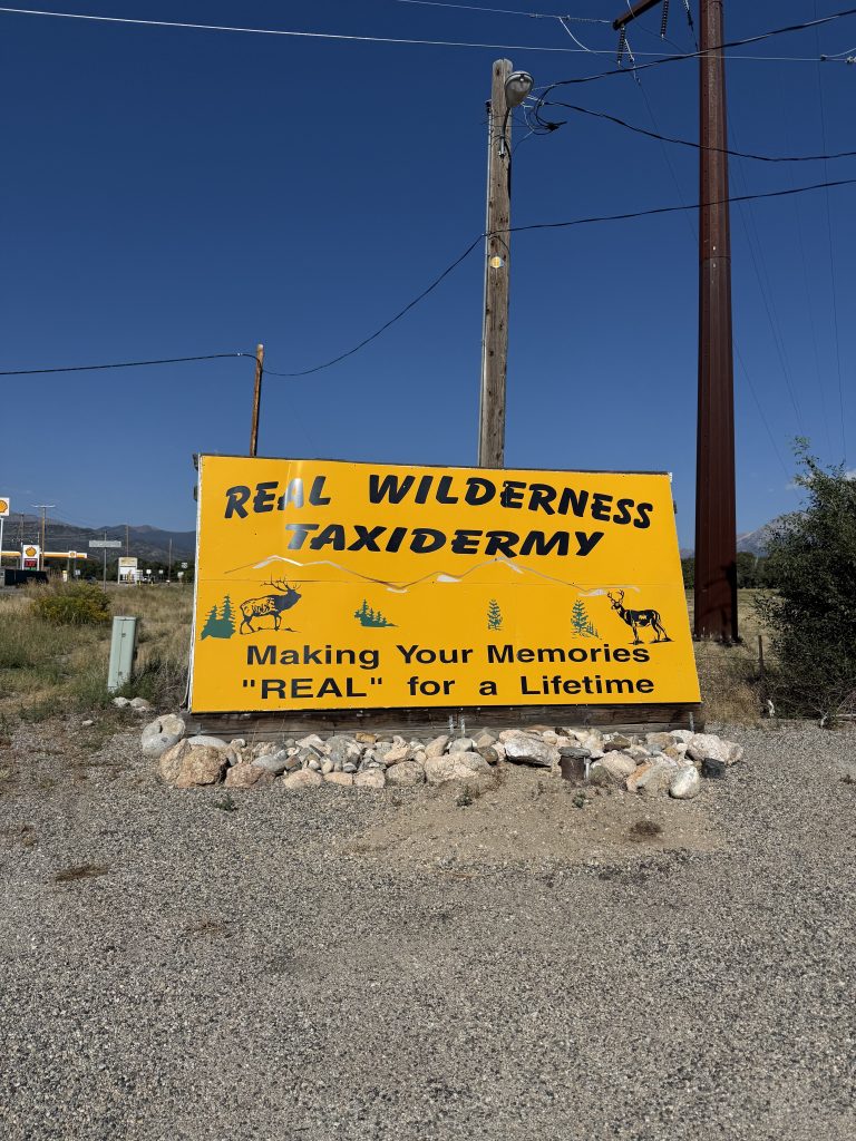 Trail Photo by robin hamilton