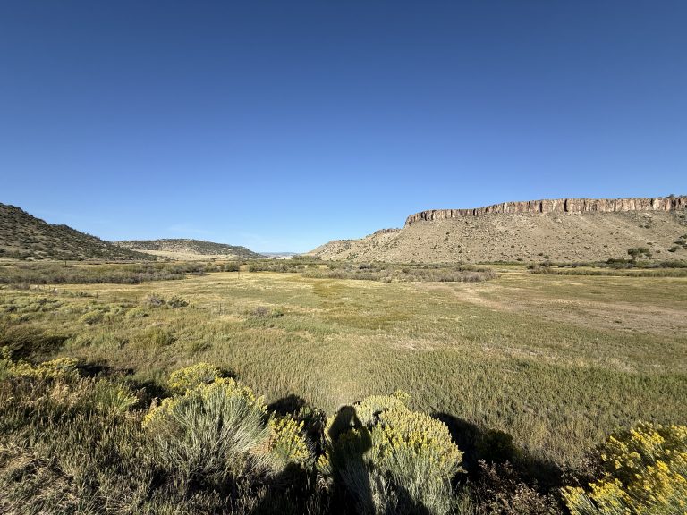 Trail Photo by Robin Hamilton