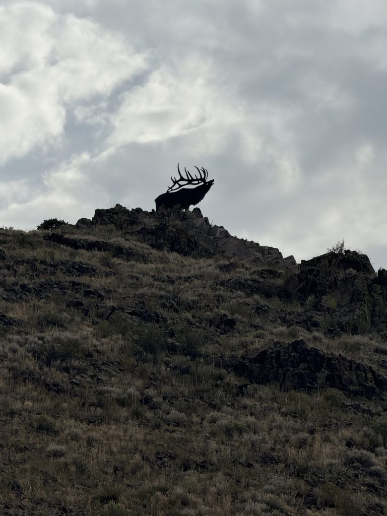 Trail Photo by robin hamilton